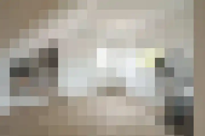 Herman Gorterhove 4 Nieuwegein thumbnail 22
