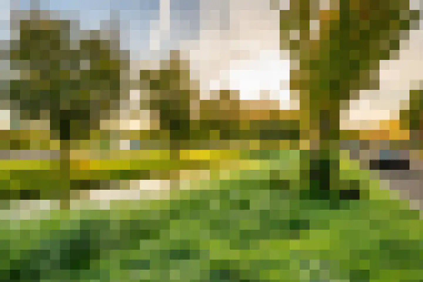 Herman Gorterhove 9 Nieuwegein thumbnail 32