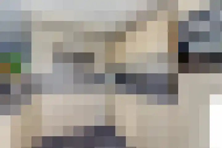 Herman Gorterlaan 1 Raamsdonksveer thumbnail 10