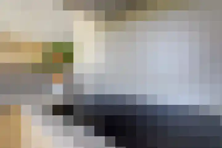 Herman Gorterlaan 1 Raamsdonksveer thumbnail 11