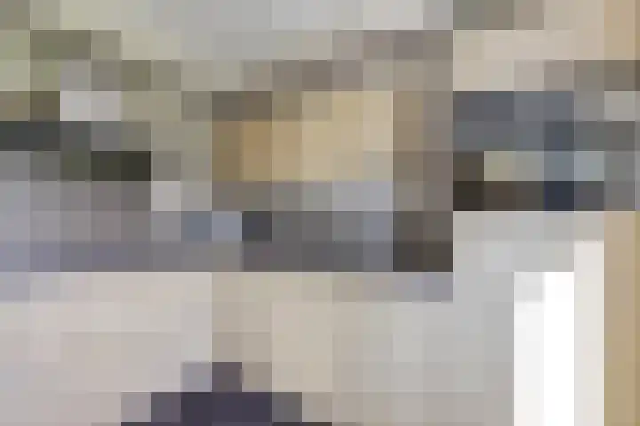Herman Gorterlaan 1 Raamsdonksveer thumbnail 12