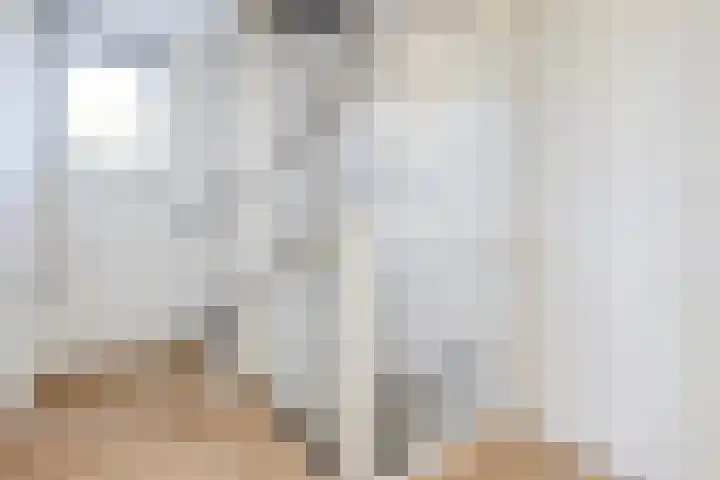 Herman Gorterlaan 1 Raamsdonksveer thumbnail 15