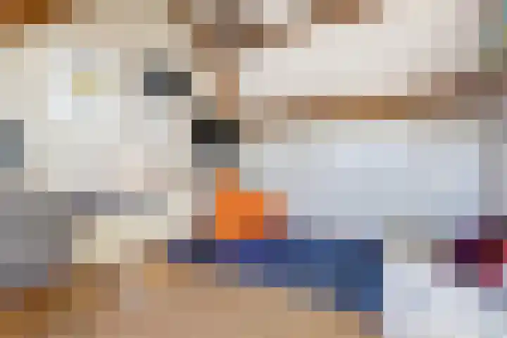 Herman Gorterlaan 1 Raamsdonksveer thumbnail 25