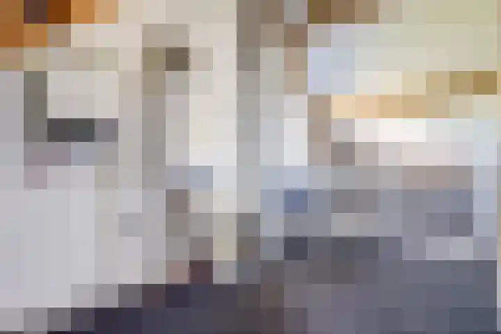 Herman Gorterlaan 1 Raamsdonksveer thumbnail 28