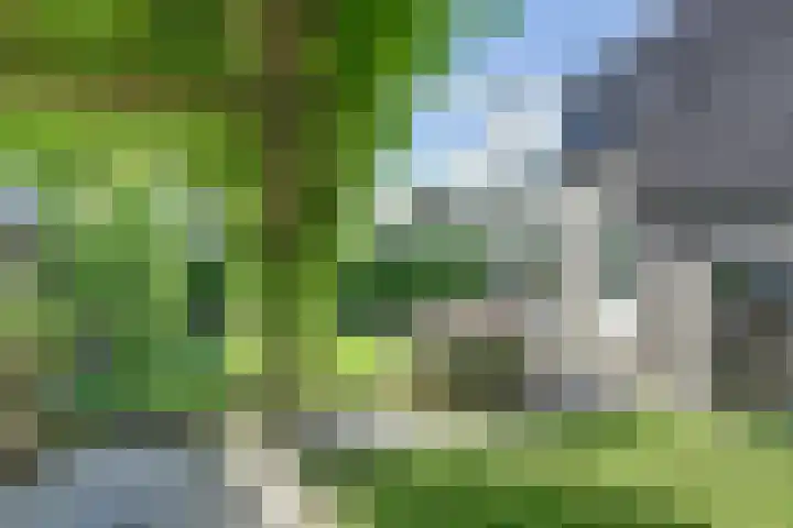 Herman Gorterlaan 1 Raamsdonksveer thumbnail 31