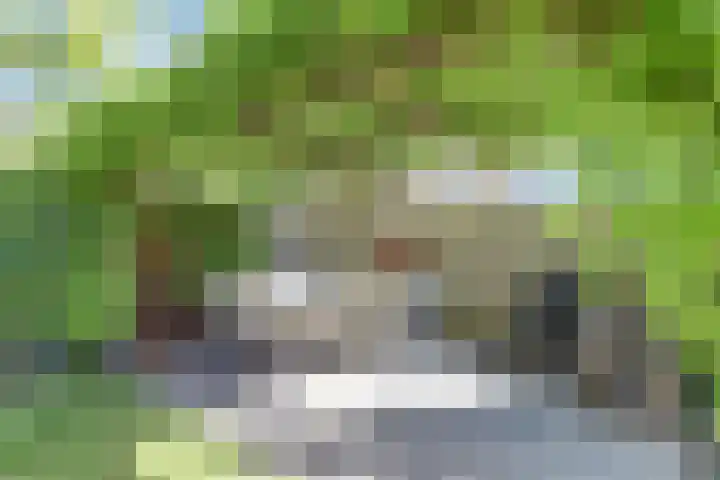 Herman Gorterlaan 1 Raamsdonksveer thumbnail 34