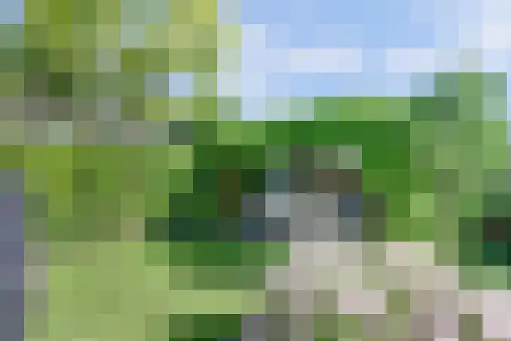 Herman Gorterlaan 1 Raamsdonksveer thumbnail 35