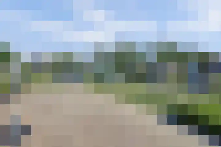 Herman Gorterlaan 1 Raamsdonksveer thumbnail 38