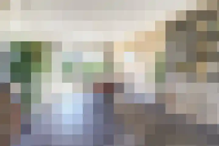Herman Gorterlaan 1 Raamsdonksveer thumbnail 6