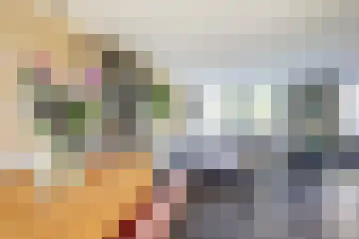 Herman Gorterlaan 1 Raamsdonksveer thumbnail 7