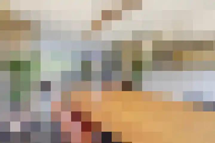 Herman Gorterlaan 1 Raamsdonksveer thumbnail 8