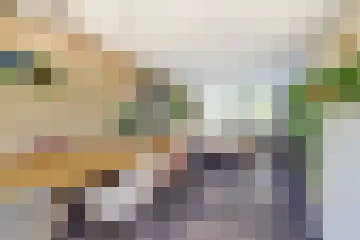 Herman Gorterlaan 1 Raamsdonksveer thumbnail 9
