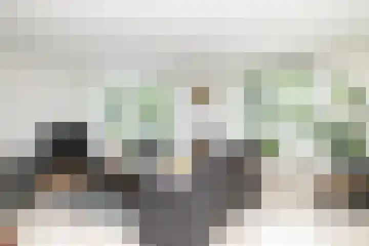 Herman Gorterlaan 10 Raamsdonksveer thumbnail 15