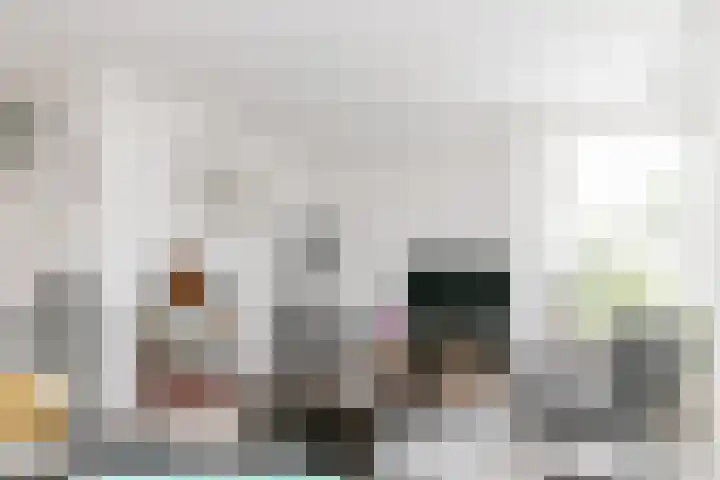 Herman Gorterlaan 10 Raamsdonksveer thumbnail 16
