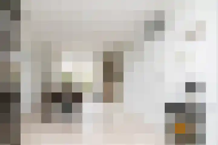 Herman Gorterlaan 10 Raamsdonksveer thumbnail 17