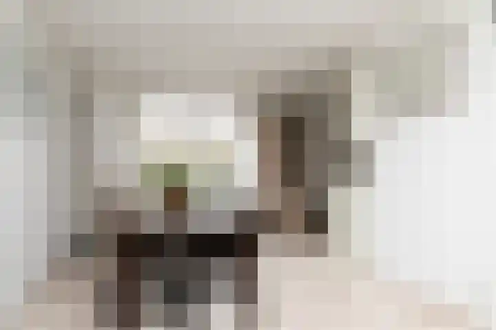 Herman Gorterlaan 10 Raamsdonksveer thumbnail 21