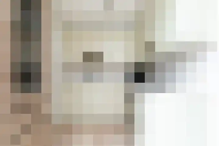 Herman Gorterlaan 10 Raamsdonksveer thumbnail 22
