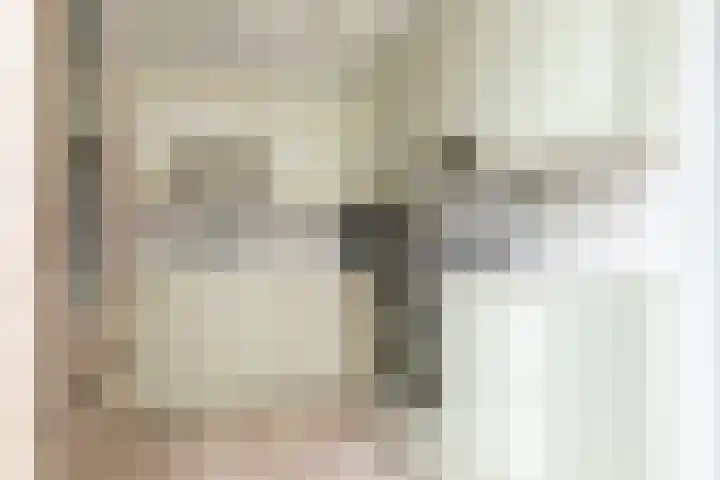 Herman Gorterlaan 10 Raamsdonksveer thumbnail 23
