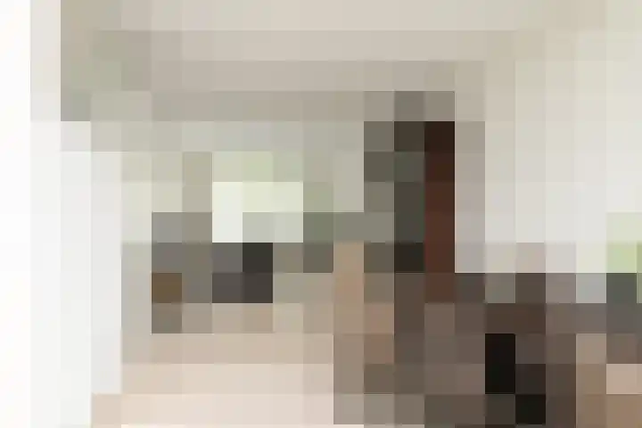 Herman Gorterlaan 10 Raamsdonksveer thumbnail 24