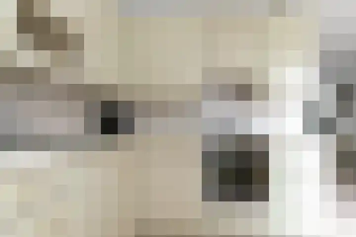 Herman Gorterlaan 10 Raamsdonksveer thumbnail 26