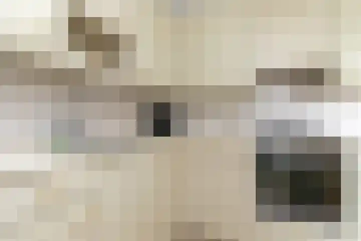 Herman Gorterlaan 10 Raamsdonksveer thumbnail 27