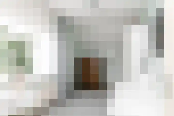 Herman Gorterlaan 10 Raamsdonksveer thumbnail 30