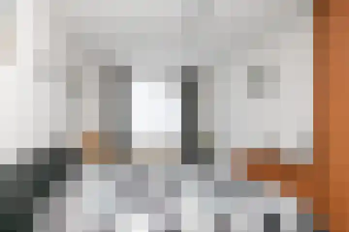 Herman Gorterlaan 10 Raamsdonksveer thumbnail 31
