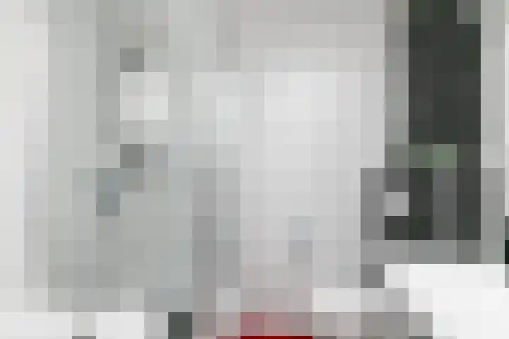 Herman Gorterlaan 10 Raamsdonksveer thumbnail 37