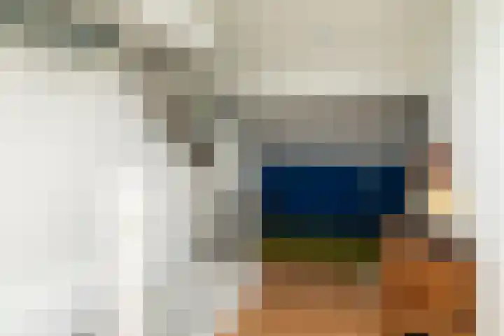 Herman Gorterlaan 10 Raamsdonksveer thumbnail 39