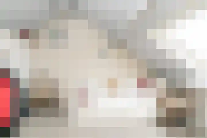 Herman Gorterlaan 10 Raamsdonksveer thumbnail 41