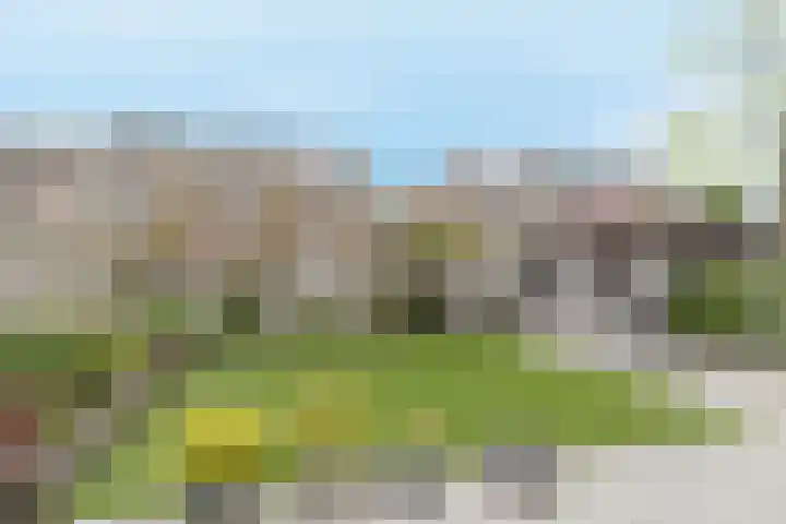 Herman Gorterlaan 10 Raamsdonksveer thumbnail 47