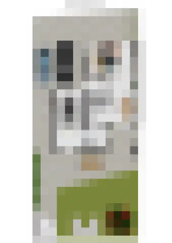 Herman Gorterlaan 10 Raamsdonksveer thumbnail 52