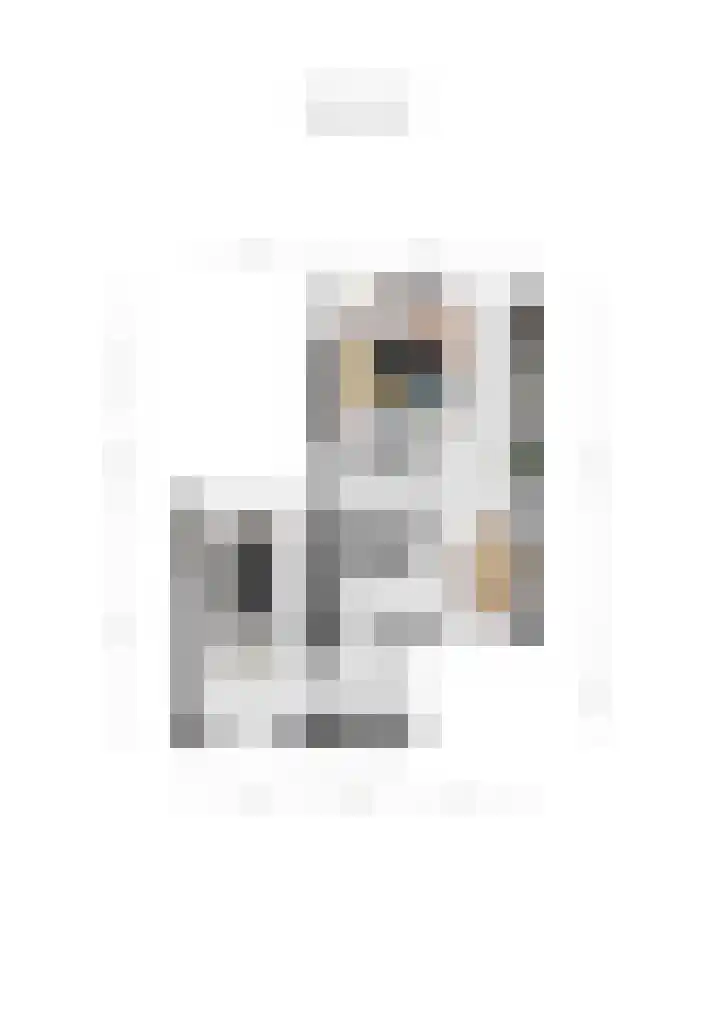 Herman Gorterlaan 10 Raamsdonksveer thumbnail 53