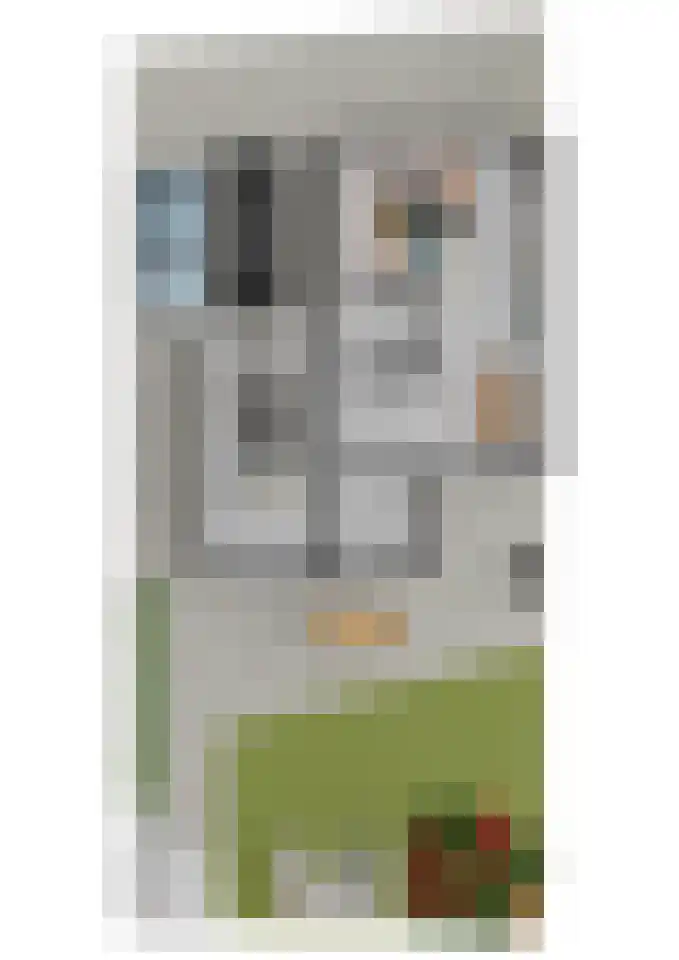 Herman Gorterlaan 10 Raamsdonksveer thumbnail 57