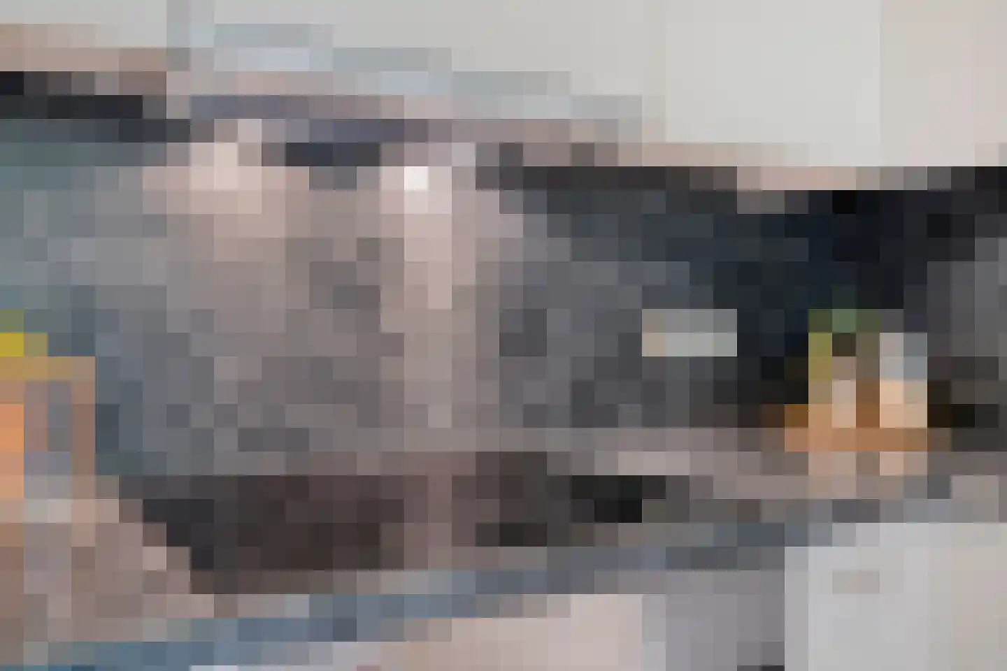 Herman Gorterlaan 103 Eindhoven thumbnail 18