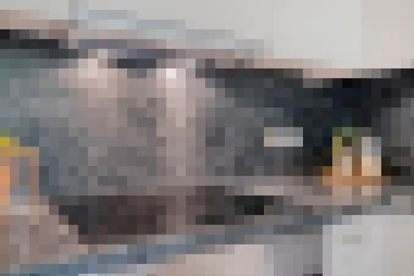Herman Gorterlaan 103 Eindhoven thumbnail 18
