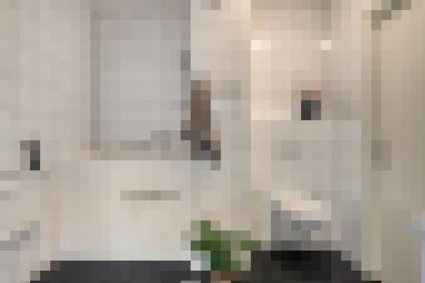 Herman Gorterlaan 103 Eindhoven thumbnail 25