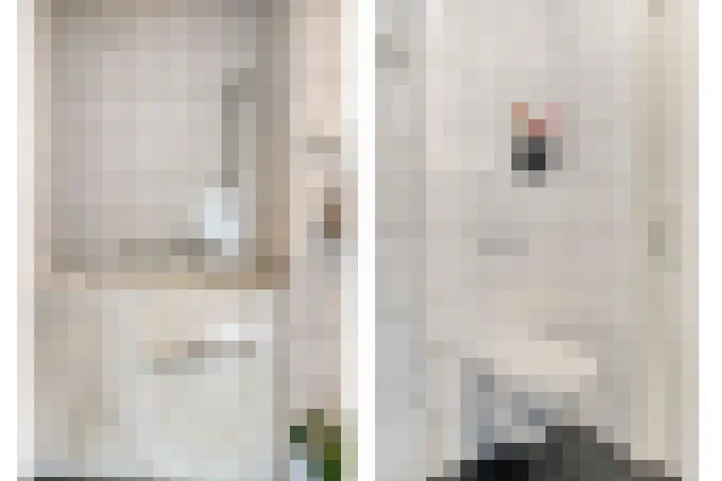 Herman Gorterlaan 103 Eindhoven thumbnail 26