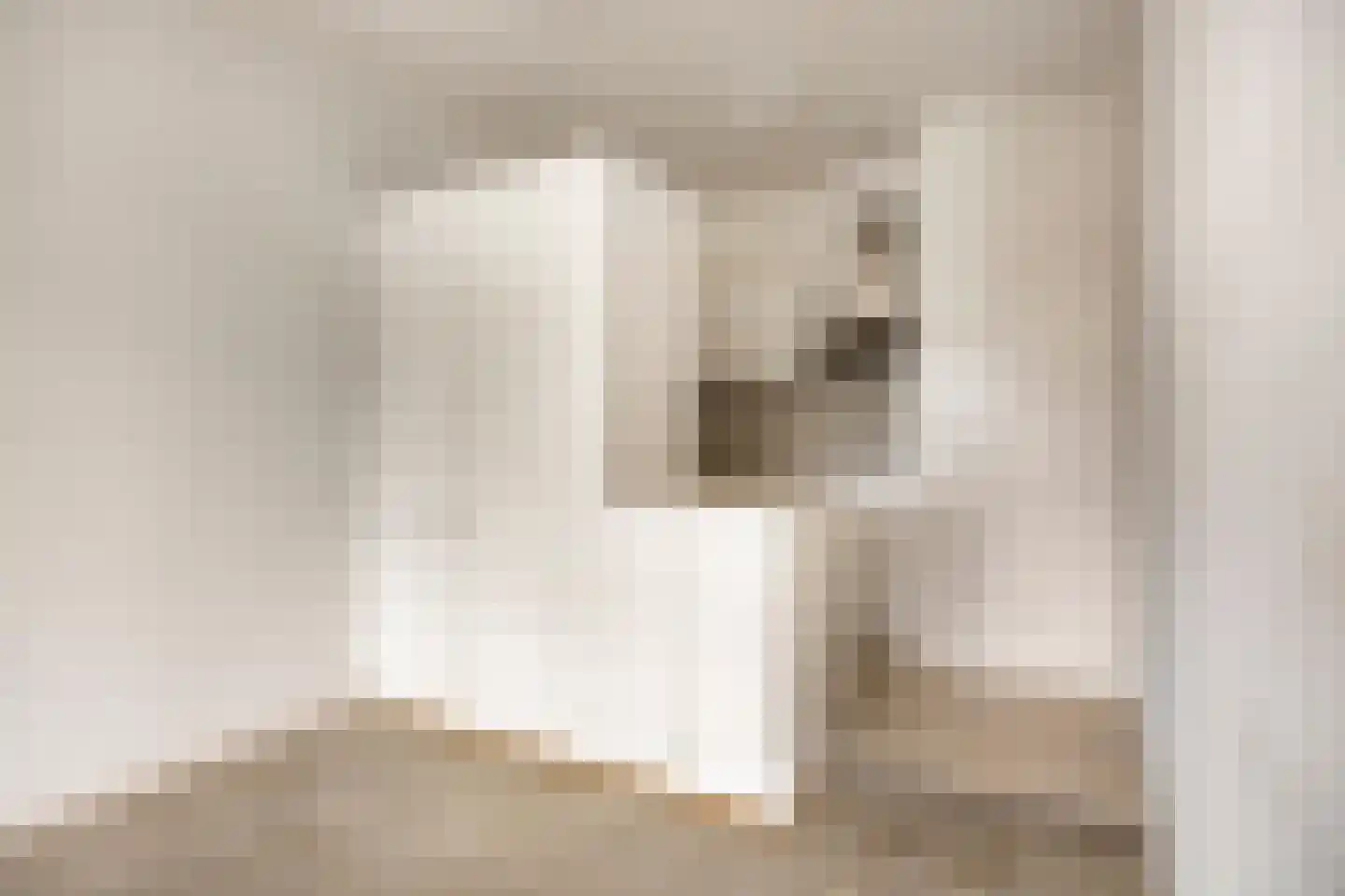 Herman Gorterlaan 123 Eindhoven thumbnail 18
