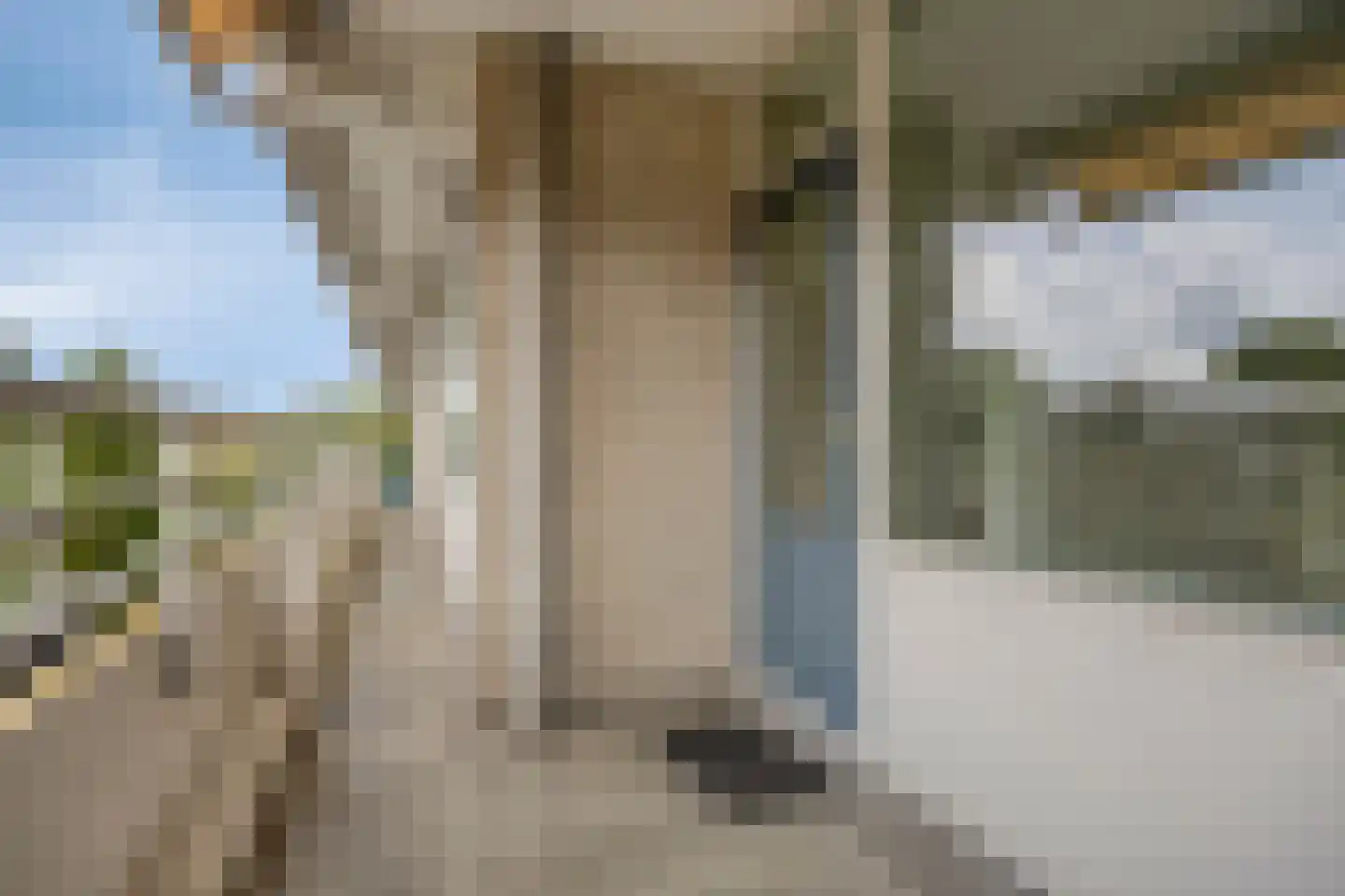 Herman Gorterlaan 123 Eindhoven thumbnail 28
