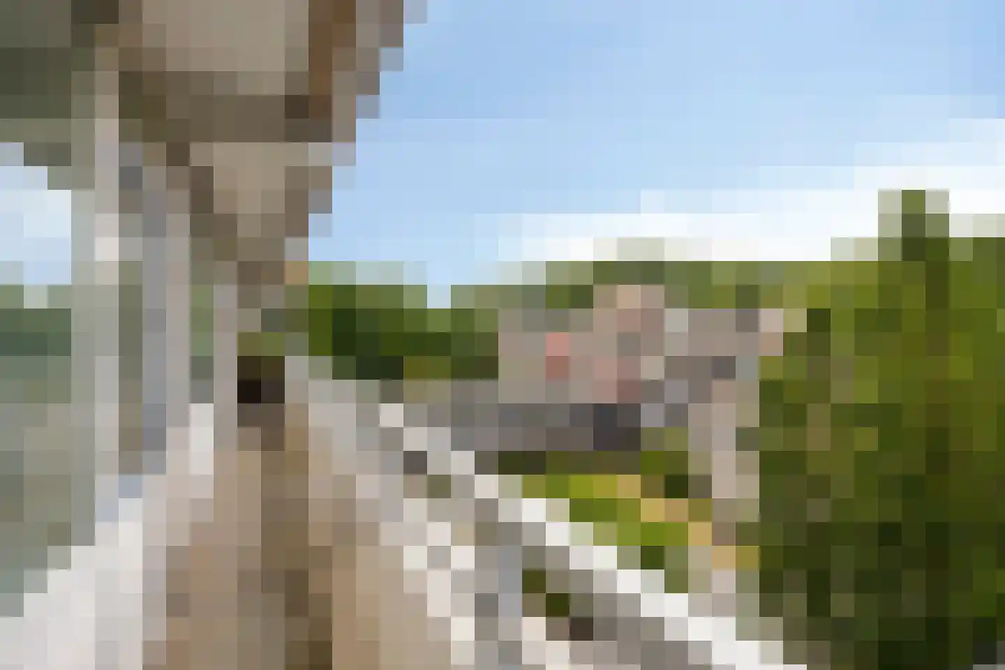 Herman Gorterlaan 123 Eindhoven thumbnail 30