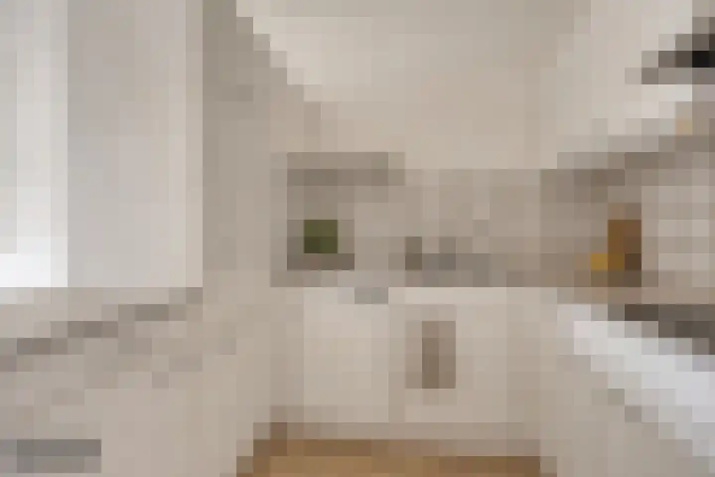 Herman Gorterlaan 123 Eindhoven thumbnail 7
