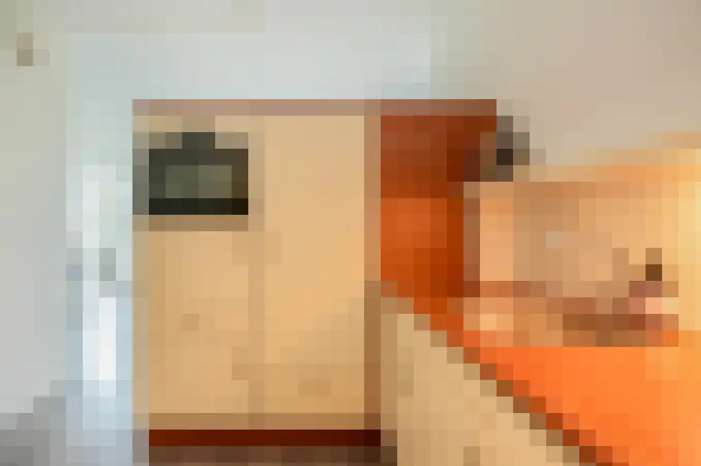 Herman Gorterlaan 165 Eindhoven thumbnail 17