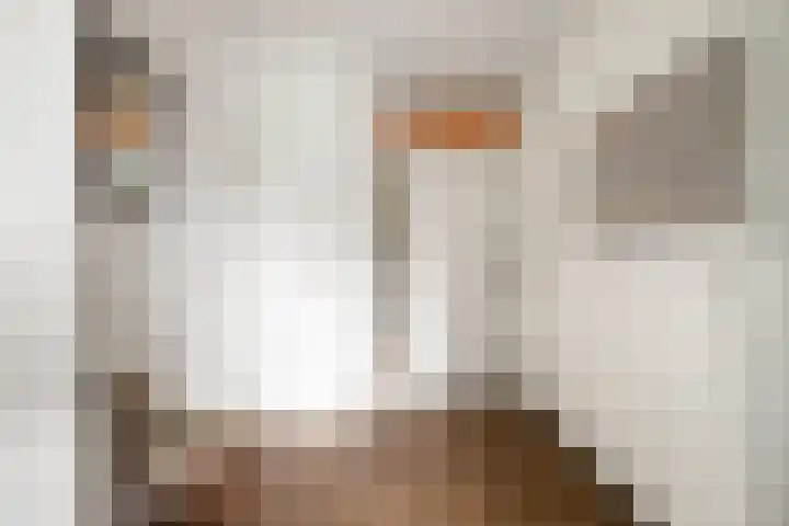 Herman Gorterlaan 169 Eindhoven thumbnail 10
