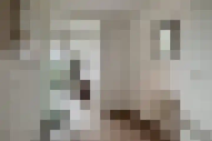Herman Gorterlaan 169 Eindhoven thumbnail 11
