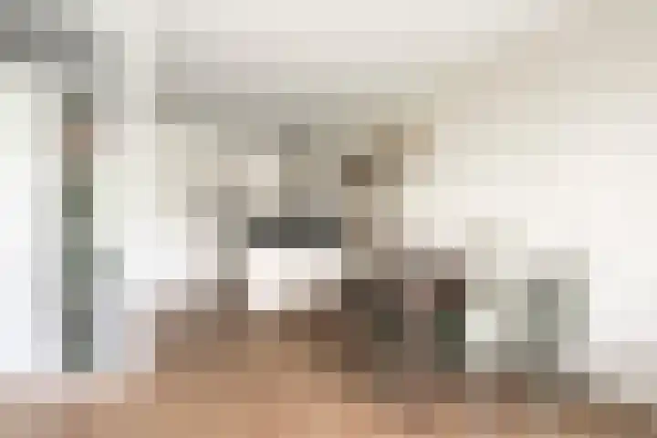 Herman Gorterlaan 169 Eindhoven thumbnail 17