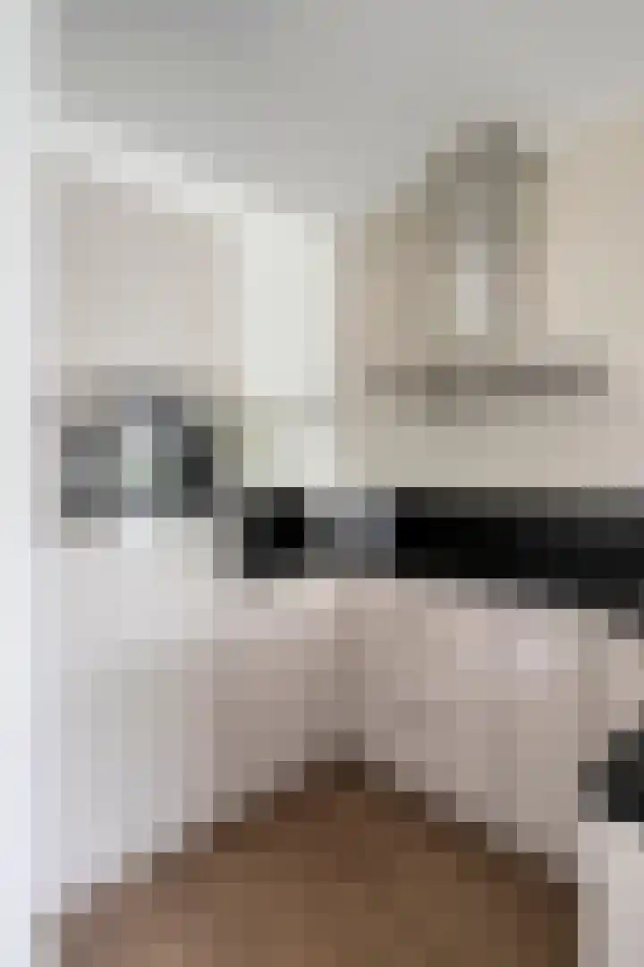 Herman Gorterlaan 169 Eindhoven thumbnail 20