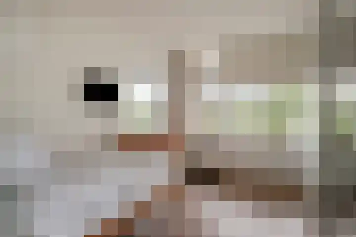 Herman Gorterlaan 169 Eindhoven thumbnail 23