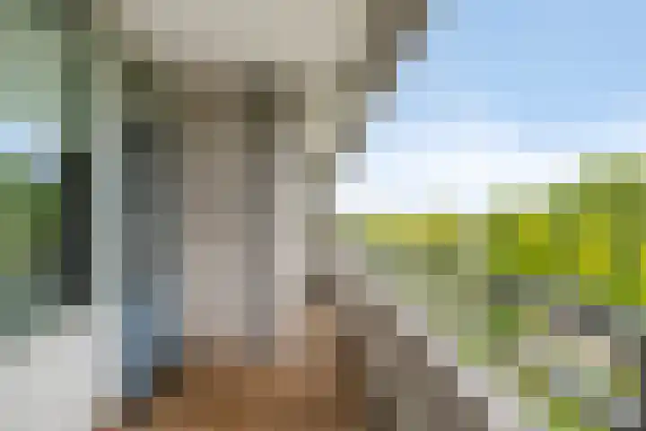 Herman Gorterlaan 169 Eindhoven thumbnail 28