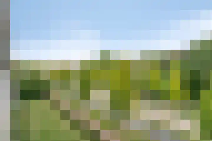 Herman Gorterlaan 169 Eindhoven thumbnail 30